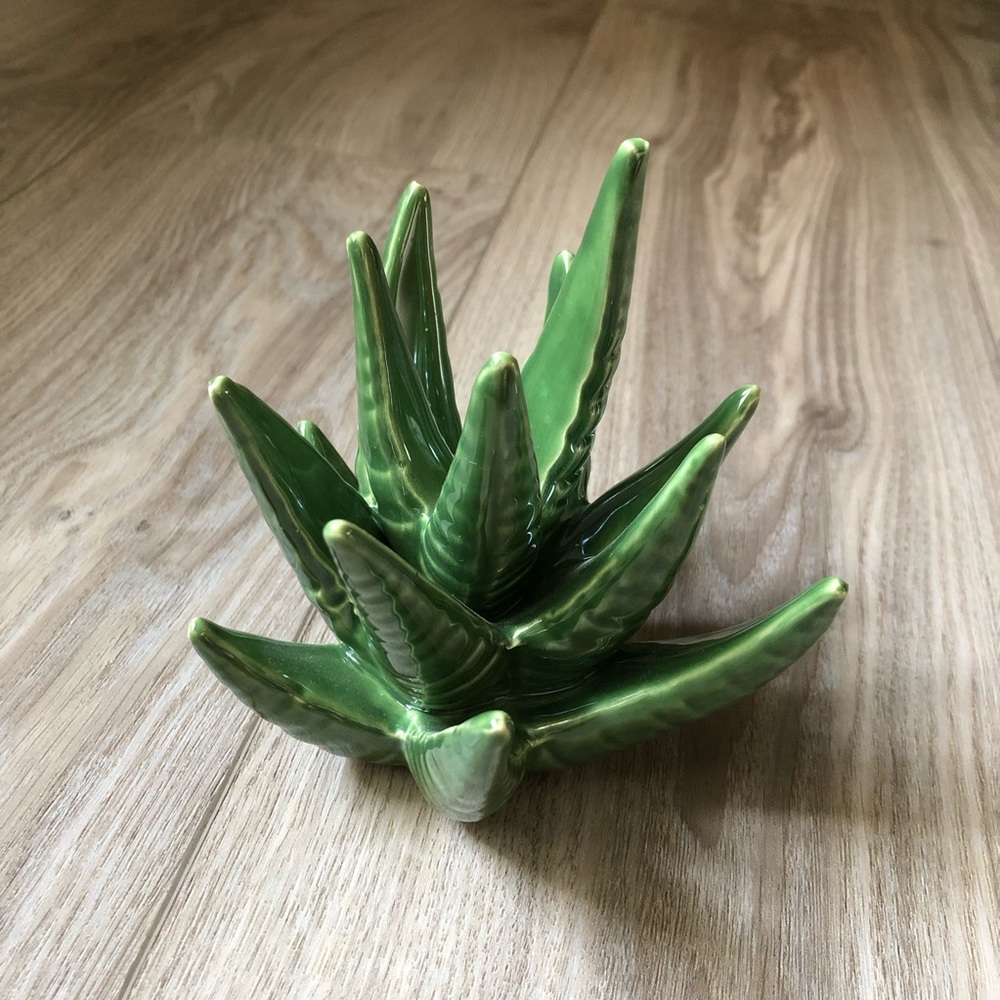 Ceramic Agave | Jewelry Holder | Home Decor